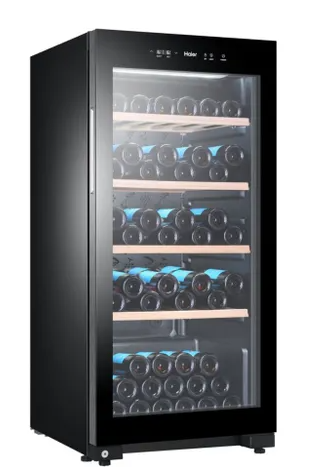 HAIER Cave À Vin De Vieillissement 105 Bouteilles – Ws105ga
